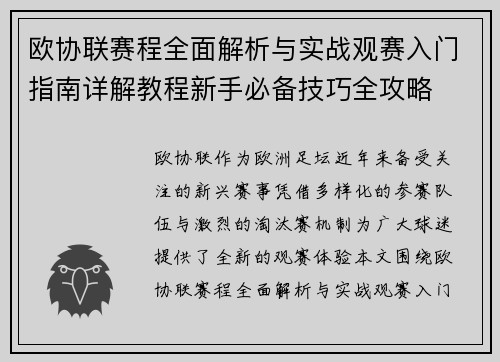 欧协联赛程全面解析与实战观赛入门指南详解教程新手必备技巧全攻略